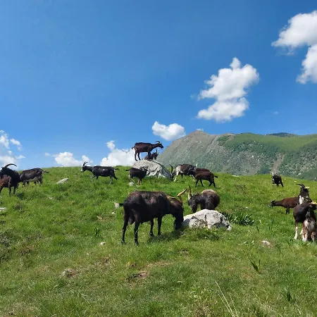 Сasa de vacaciones Apartma Mataj Kobarid