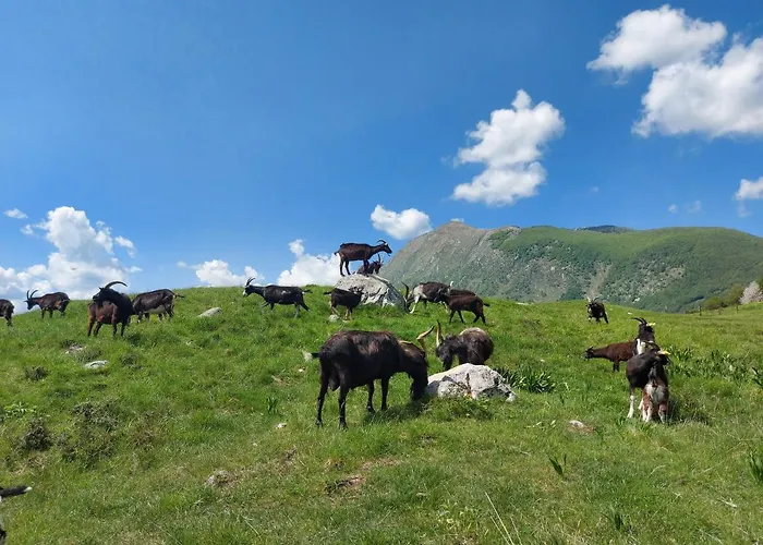 Dom wakacyjny Apartma Mataj Kobarid